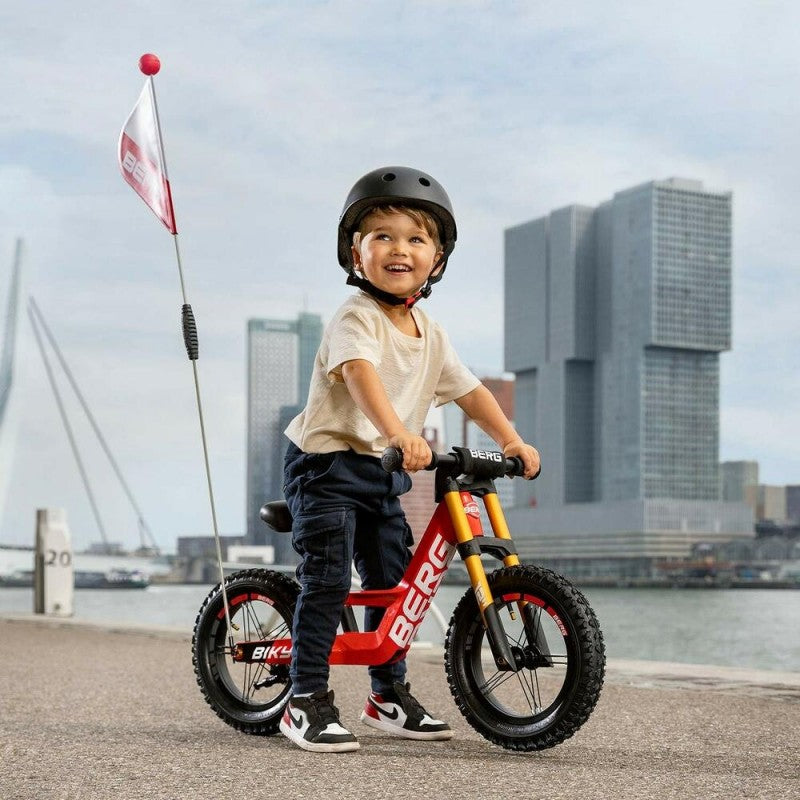 Berg Biky Cross