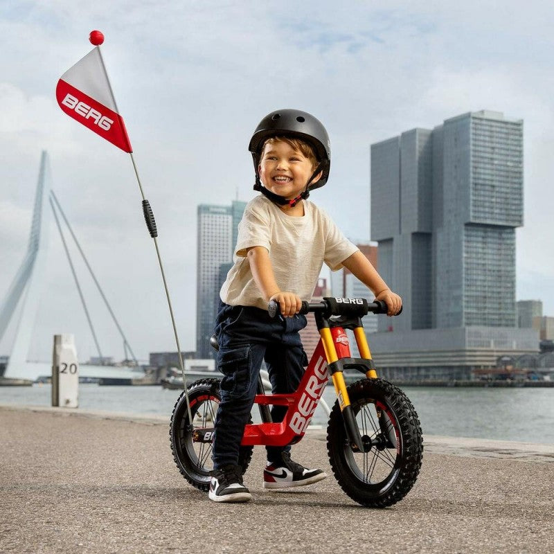 Berg Biky Cross